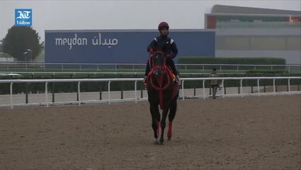 Trainers discuss preparations ahead of Dubai World Cup