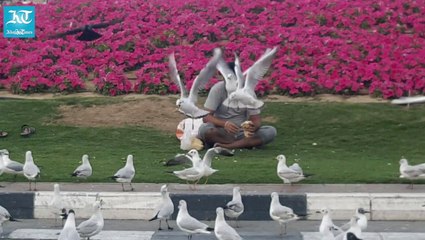 Meet Dubai's very own 'birdman'