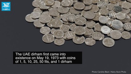 All you wanted to know about the UAE dirham