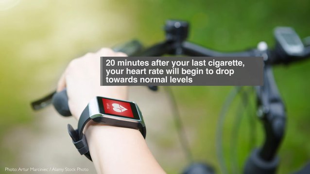 What happens to your body when you quit smoking