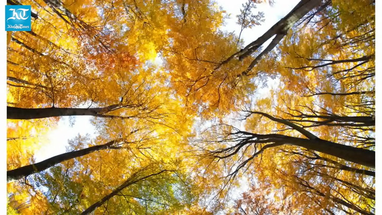 9 English words which means something else in other countries