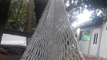 duyan