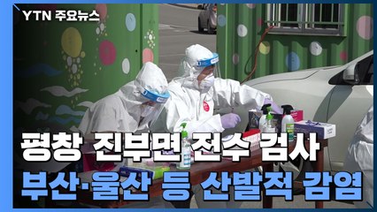 평창 진부면 전수 검사...부산·울산 등 산발적 집단 감염 / YTN