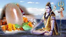 Mahashivratri 2021 : महाशिवरात्रि पारण मुहूर्त | व्रत खोलने का समय । Mahashivratri Paran Muhurat