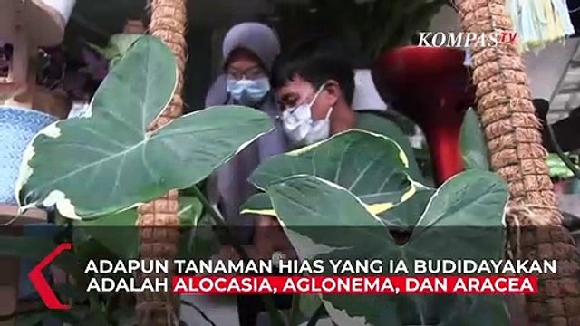 Berawal dari Coba-Coba, Pria Ini Sukses Berbisnis Tanaman Hias