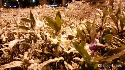 Winter Festival happening at Al Majaz Waterfront in Sharjah