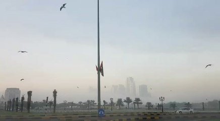 Sharjah wakes up to foggy Monday morning