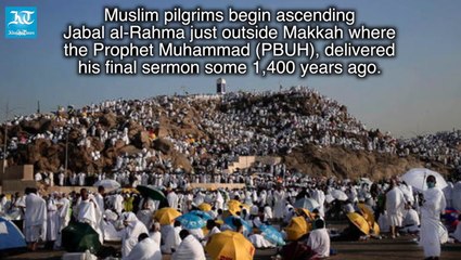 Muslims from all over the world gather for Haj on Mount Arafat (1).mp4