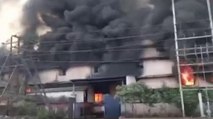 Maharashtra: Fire breaks out in biscuit factory in Thane