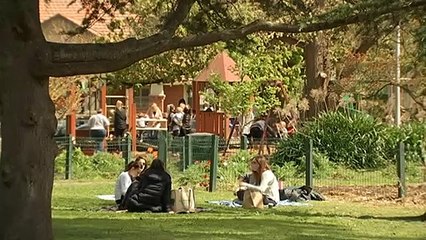 Urban tree canopy loss increasing city temperatures