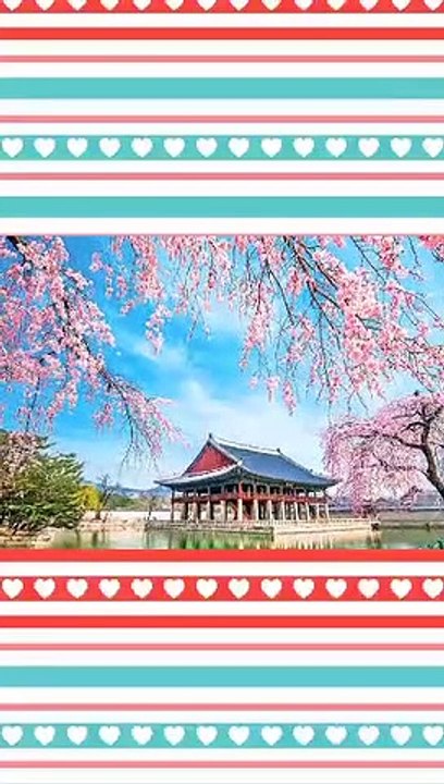 Korean Self introduction