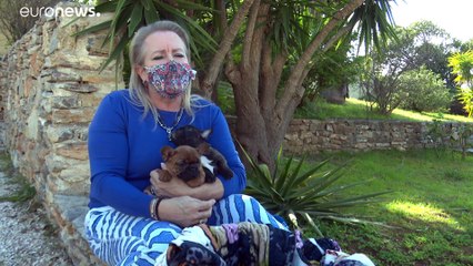 Ελλάδα: Το νέο νομοσχέδιο για τα κατοικίδια