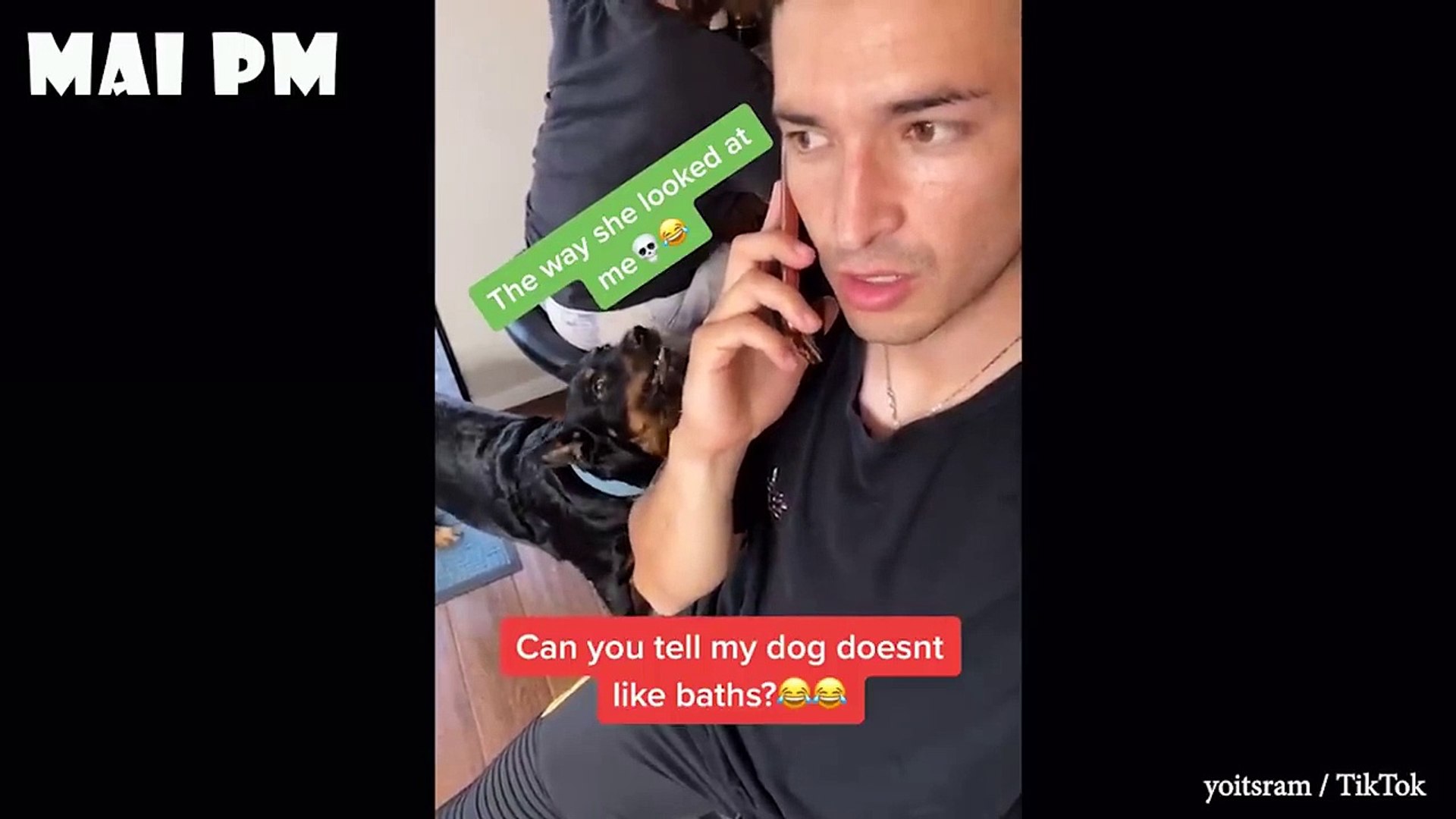 ⁣Funny Pets Reaction