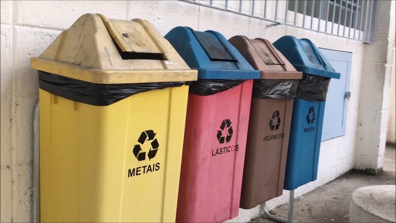 Cómo ser sustentable?