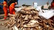 Confiscated contraband ivory crushed in Dubai landfill