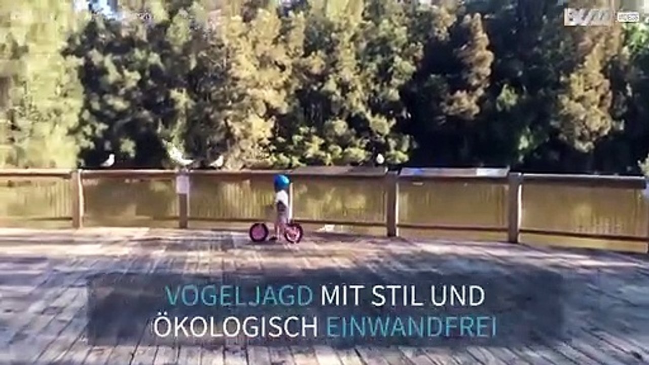 Kleiner Junge hat Spaß an der Vogeljagd auf seinem Laufrad