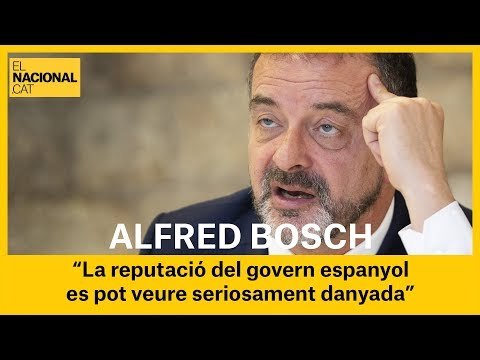 ALFRED BOSCH: Ignorar el dictamen pot portar al govern espanyol a una col·lisió amb l'ONU