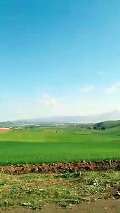 البويرة و جرجرة : مناظر