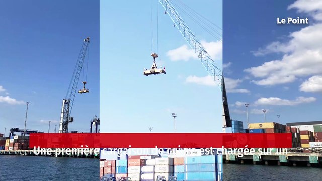 Suisse : l’incroyable arnaque de pierres peintes couleur cuivre