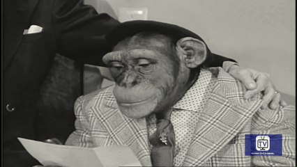 The Mickey Rooney Show | Season 2 | Episode 11 | The Producer | Mickey Rooney | Regis Toomey