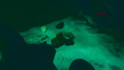 GAZİANTEP Tehlikeli balıkları elleriyle besliyor