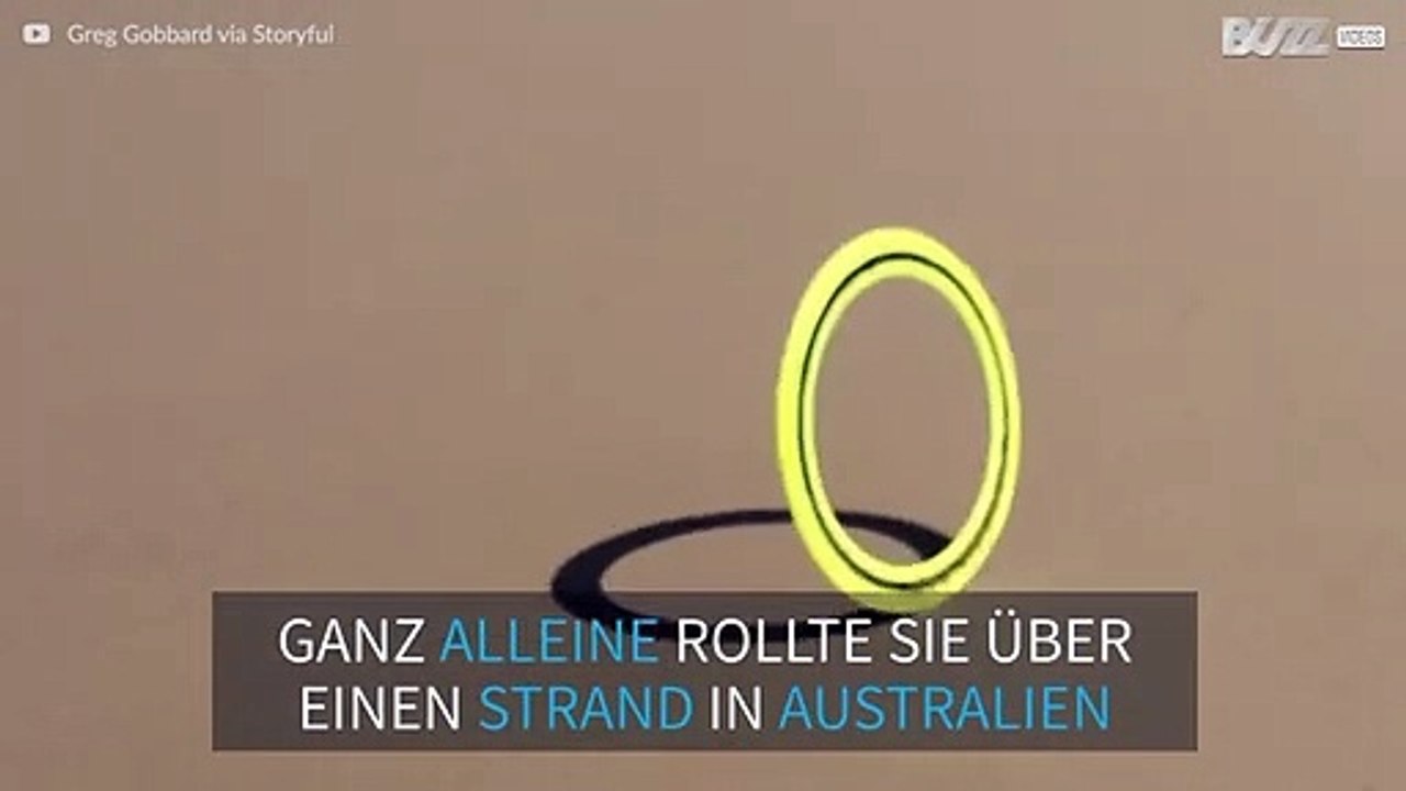Frisbeescheibe entwickelt ein Eigenleben und rollt auf Reisen
