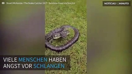 Warum Sie Angst vor Schlangen haben sollten