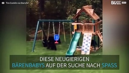 Bärenbabys auf dem Spielplatz