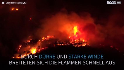 Flammen wüten in Italien