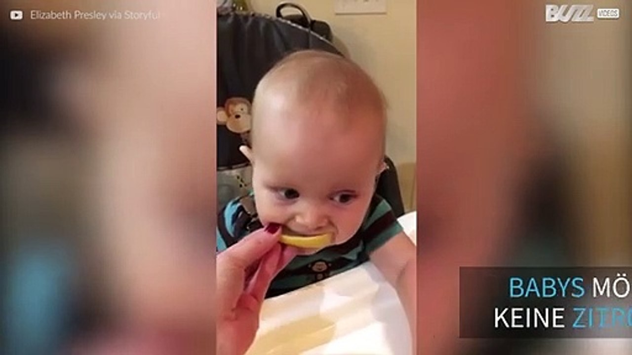 Ein Baby schmeckt zum ersten mal Zitrone