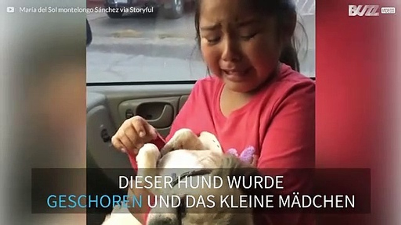 Mädchen ist am Boden zerstört, als sie den neuen Haarschnitt ihres Hundes sieht