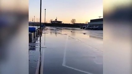 50 إوزة تسقط من السماء بعدما ضربها البرق