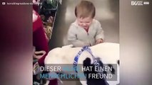 Riesen Hund und kleines Kind werden Freunde