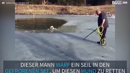 Hund rettet sich aus gefrorenem See