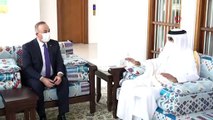 Dışişleri Bakanı Çavuşoğlu, Katar Emiri Hamad Al Thani tarafından kabul edildi