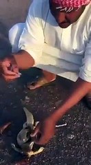 سعودي يعثر على نقود كويتية في بطنضب