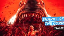 Tráiler de Sharks of the corn,los tiburones ahora acechan en los maizales