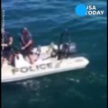Great white shark stalks police boat