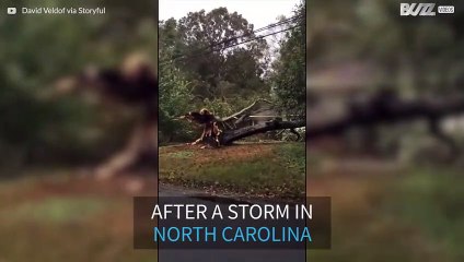 Tree destroys home in North Carolina