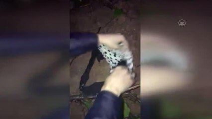 Son dakika haber... Uyuşturucu operasyonu