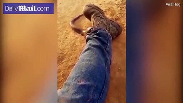 Man captures the terrifying moment a snake crawls up his jeans