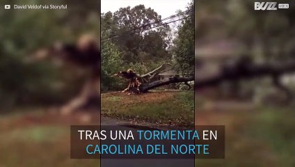 Árbol destruyó por completo una casa de Carolina del Norte