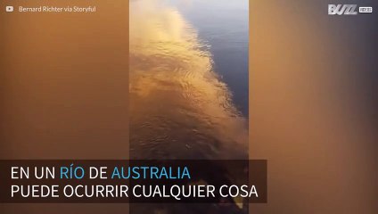 Aparece un tiburón en un río de Australia