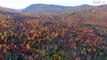 Los colores vibrantes de las hojas del otoño en Canadá