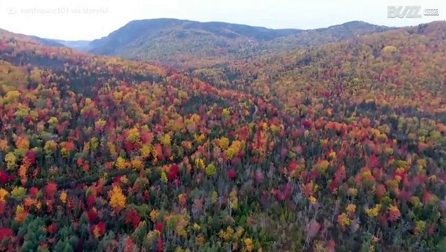 Los colores vibrantes de las hojas del otoño en Canadá