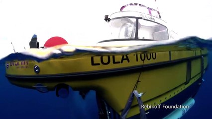 First footage of deep-sea anglerfish pair