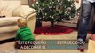 Bebé elfo ayuda a decorar un árbol de navidad