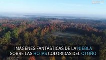 ¡Carolina del Sur recibe al otoño con unos colores impresionantes!