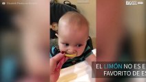 ¡Bebé prueba el limón por primera vez!