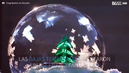 Globo de nieve natural con árbol de Navidad